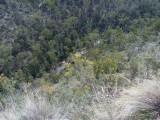 Yarrangobilly River