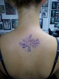 Ontwerp