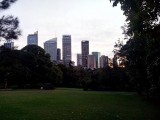 Sydney skyline vanuit de botanische tuinen