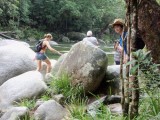 Mossman Gorge
