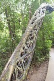Natuur-architectuur