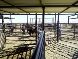 Middagje in de yards