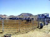 Harts Range Rodeo