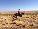 Papa, het bewijs: outback paardrijden