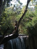 DSCF1669