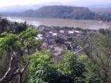 SDC11231