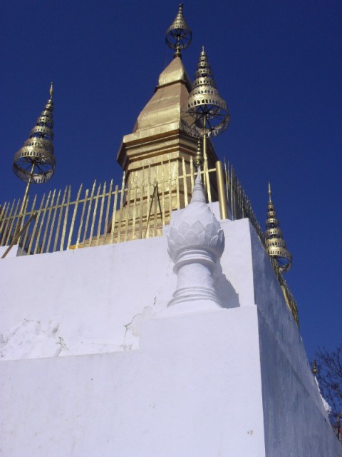 SDC11235