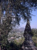 SDC11241