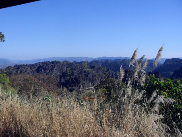 SDC11336
