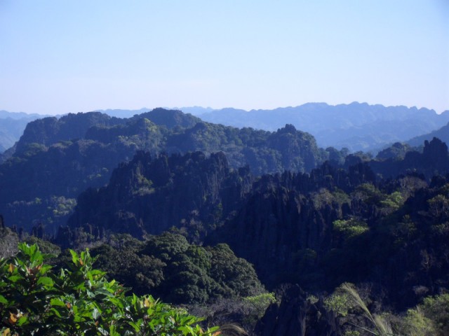 SDC11337