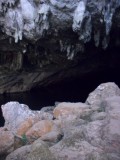 SDC11345