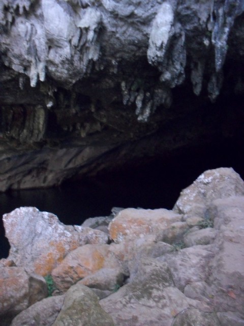 SDC11345