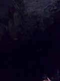 SDC11347