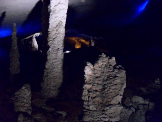 SDC11350
