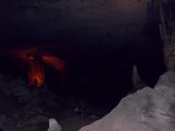 SDC11352