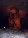 SDC11355