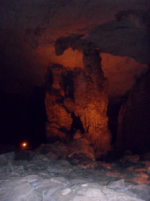 SDC11355