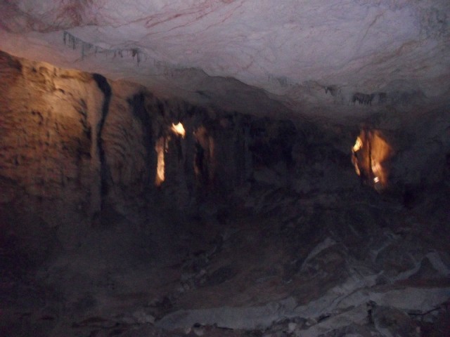 SDC11358