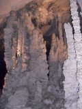 SDC11361