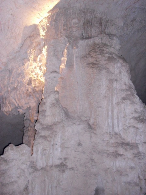 SDC11363