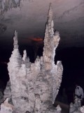 SDC11364