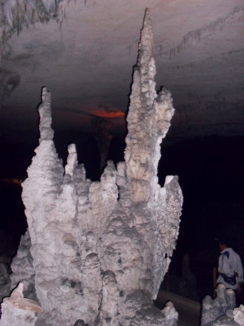 SDC11364