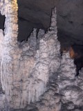 SDC11365
