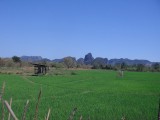 SDC11380