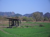 SDC11381