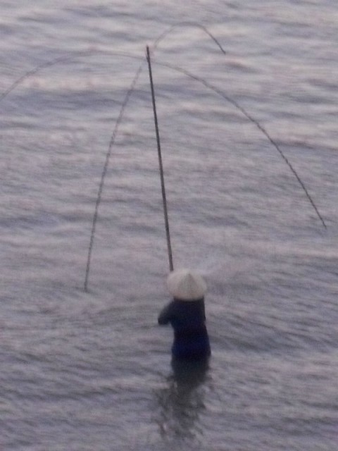 SDC11391