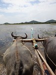 IMG-20180315-WA0012