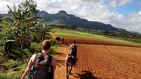 Vinales