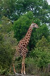 IMG_5384