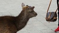 20170329_123323