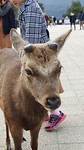20170329_123334