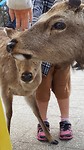 20170329_123339