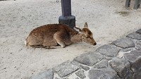 20170329_123458
