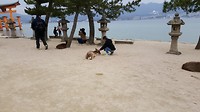 20170329_125422