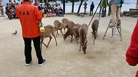 20170329_125746