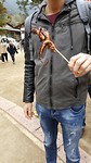 20170329_130820