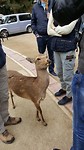 20170329_131113