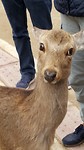 20170329_131115