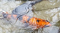 20170329_132034