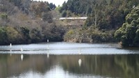 20170401_121032