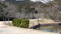 20170401_121432