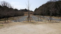 20170401_121508