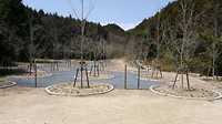20170401_121533