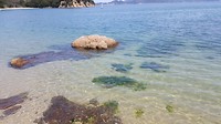 20170401_123441