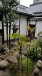 20170331_095749