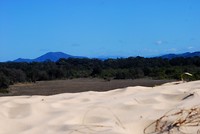 van strand naar mangrove